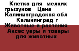 Клетка для  мелких грызунов › Цена ­ 1 000 - Калининградская обл., Калининград г. Животные и растения » Аксесcуары и товары для животных   
